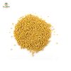 Mustard Seed (হলুদ সরিষার বীজ) – ১০০ গ্রাম